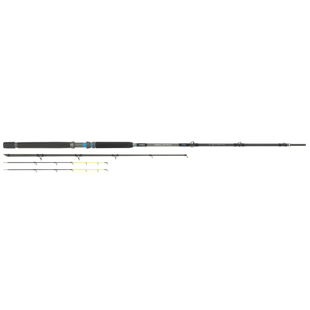Canna Tubertini Meloria 20-40 LB 2.80 m