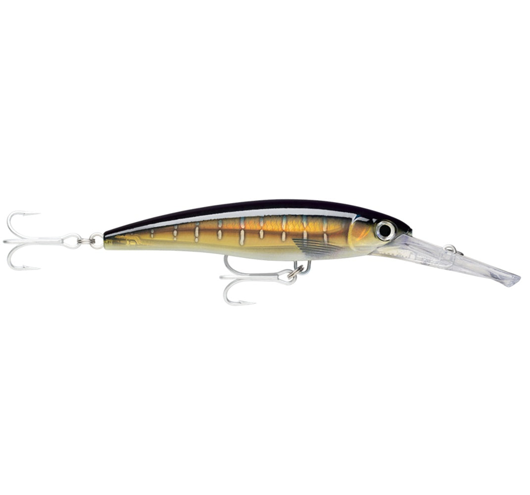 Artificiale Rapala X-Rap Magnum 30 #HDRRB