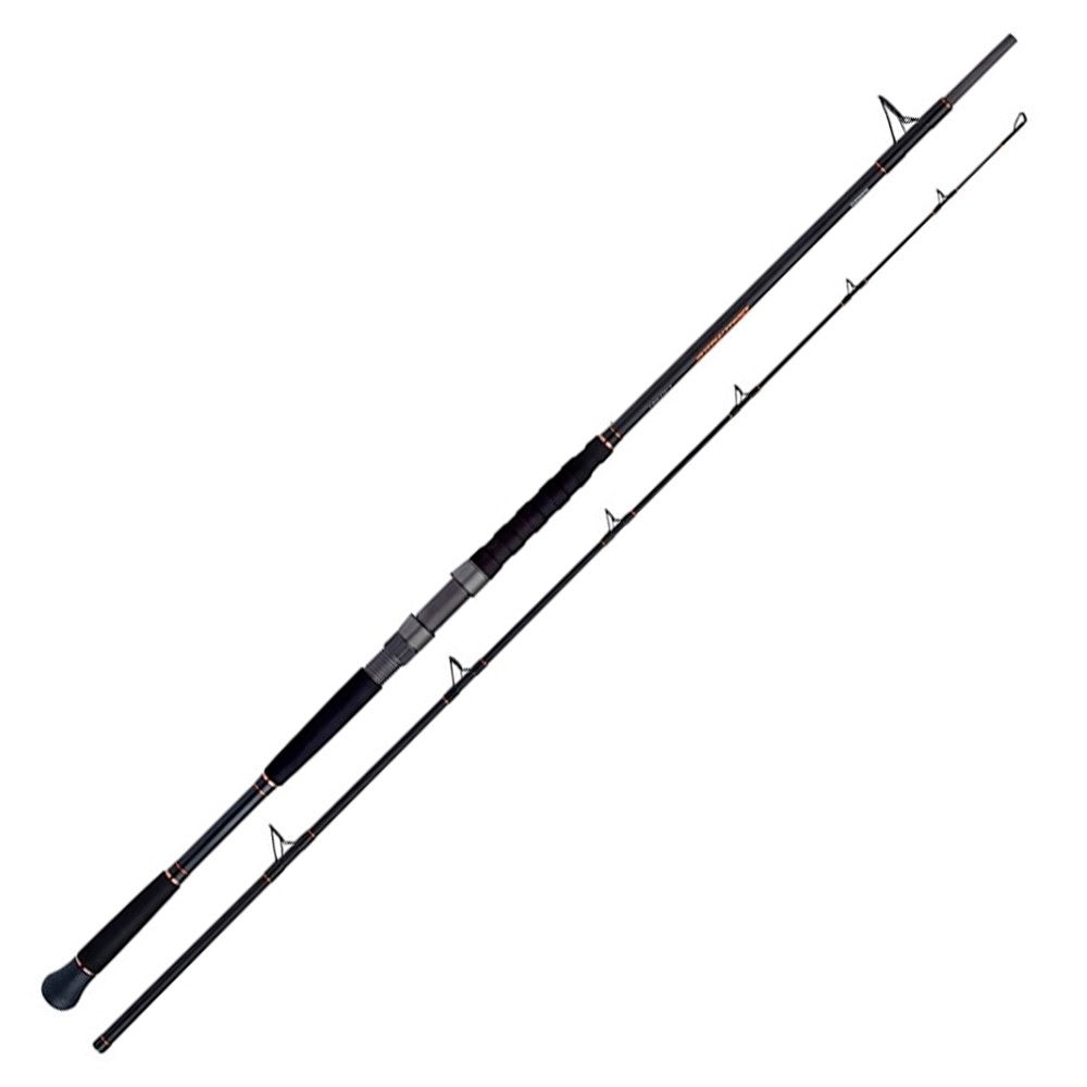 Shimano Beast Master Catfish 8'10" 30-200g