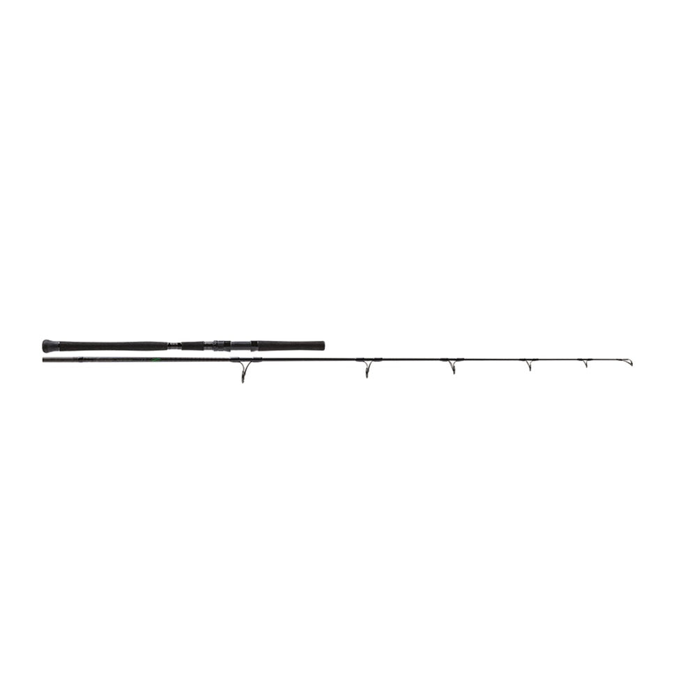 Canna Molix Fioretto EMX-S80- 8”FT 80G