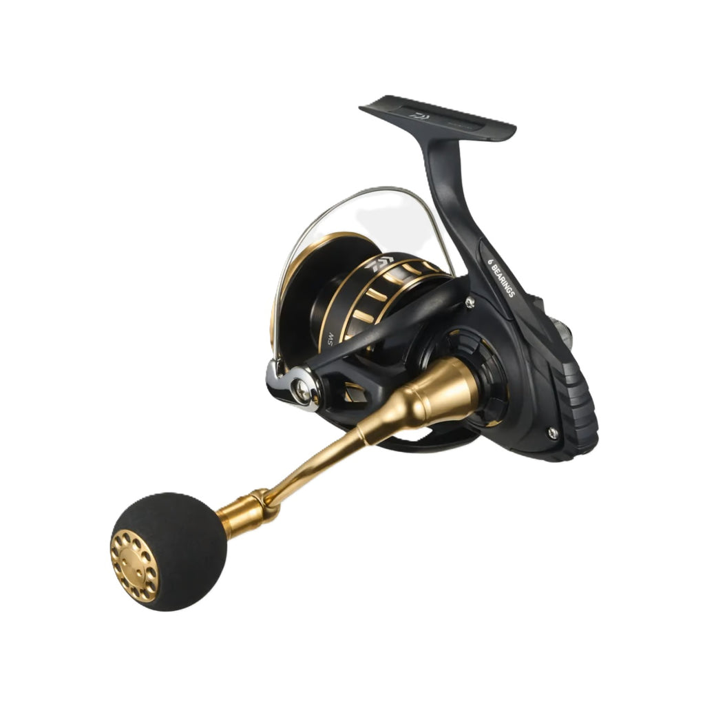 Mulinello 23 Daiwa BG SW 4000D-CH