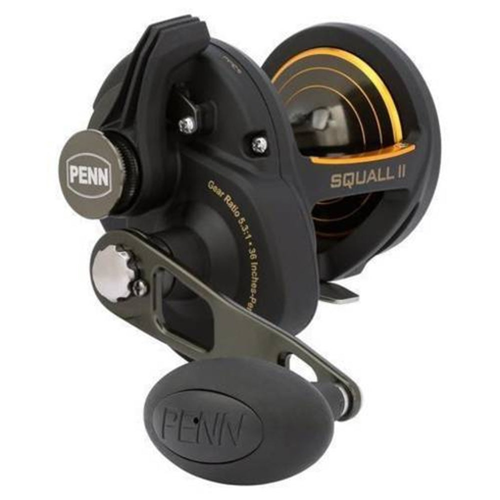 Mulinello Penn Squall II 25