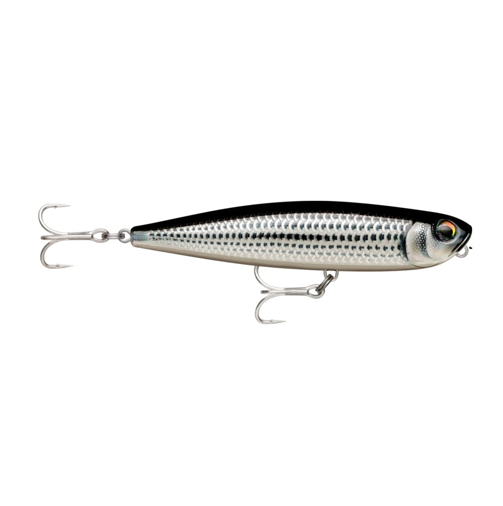 Artificiale Rapala Xtreme Pencil Saltwater PXRPS 107mm 21G #MU