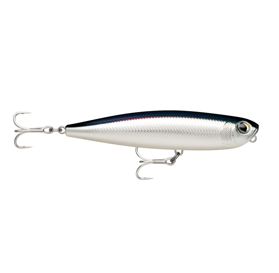 Artificiale Rapala Xtreme Pencil Saltwater PXRPS 107mm 21G #BFH