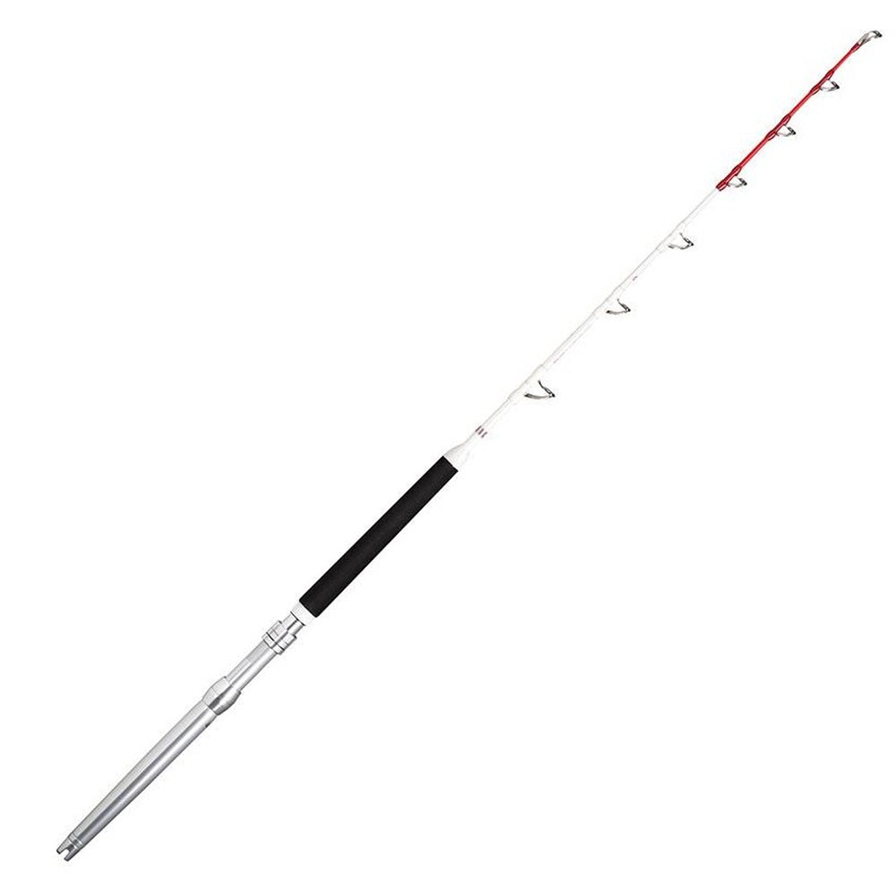 Rapala Magnum RH 20-30 Stand-Up  Montaggio in Linea Anelli Fuji